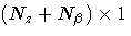 (N_z + N_\beta) x 1