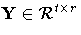 Y\in{\cal R}^{t x r}