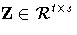 Z\in{\cal R}^{t x s}