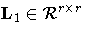 L_1\in{\cal R}^{r x r}