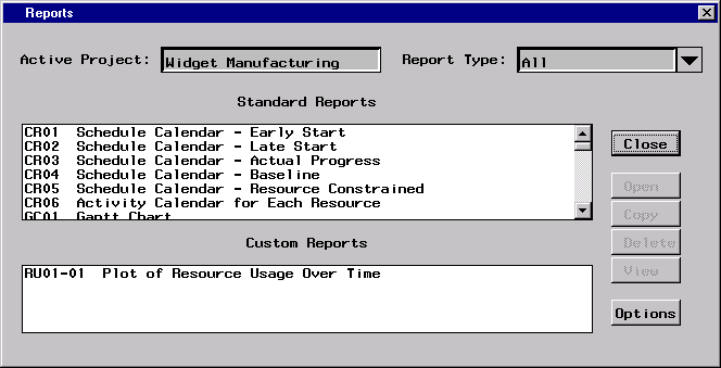 rpt_w.gif (8954 bytes)