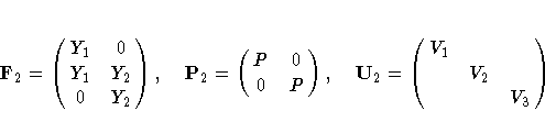 F_2 = \pmatrix{Y_1&0\cr
Y_1&Y_2\cr
0&Y_2} ,
P_2 = \pmatrix{P&0\cr
0&P} ,
U_2 = \pmatrix{V_1&&\cr
&V_2&\cr
&&V_3}