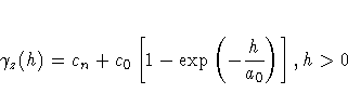 \gamma_z(h) = 
c_n + c_0[1-\exp(-\frac{h}{a_0})], h \gt 0