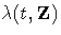 \lambda(t,Z)