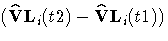 (\hat{V}L_i(t2) - \hat{V}L_i(t1))