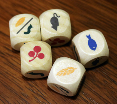 5 dice with bird food drawings on each side