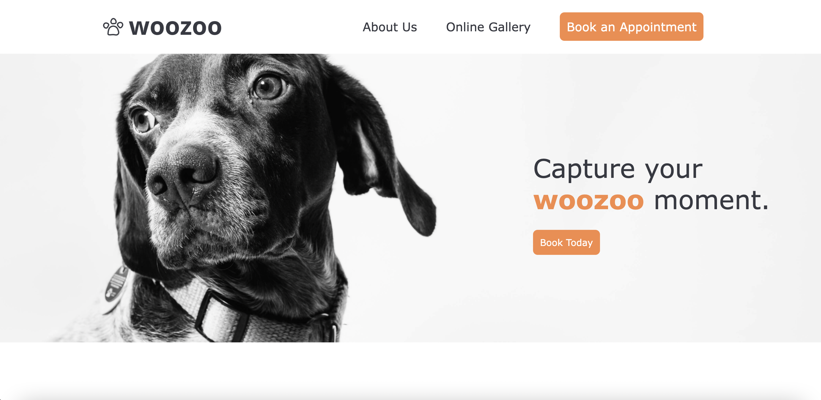 woozoo home screen image with a dog