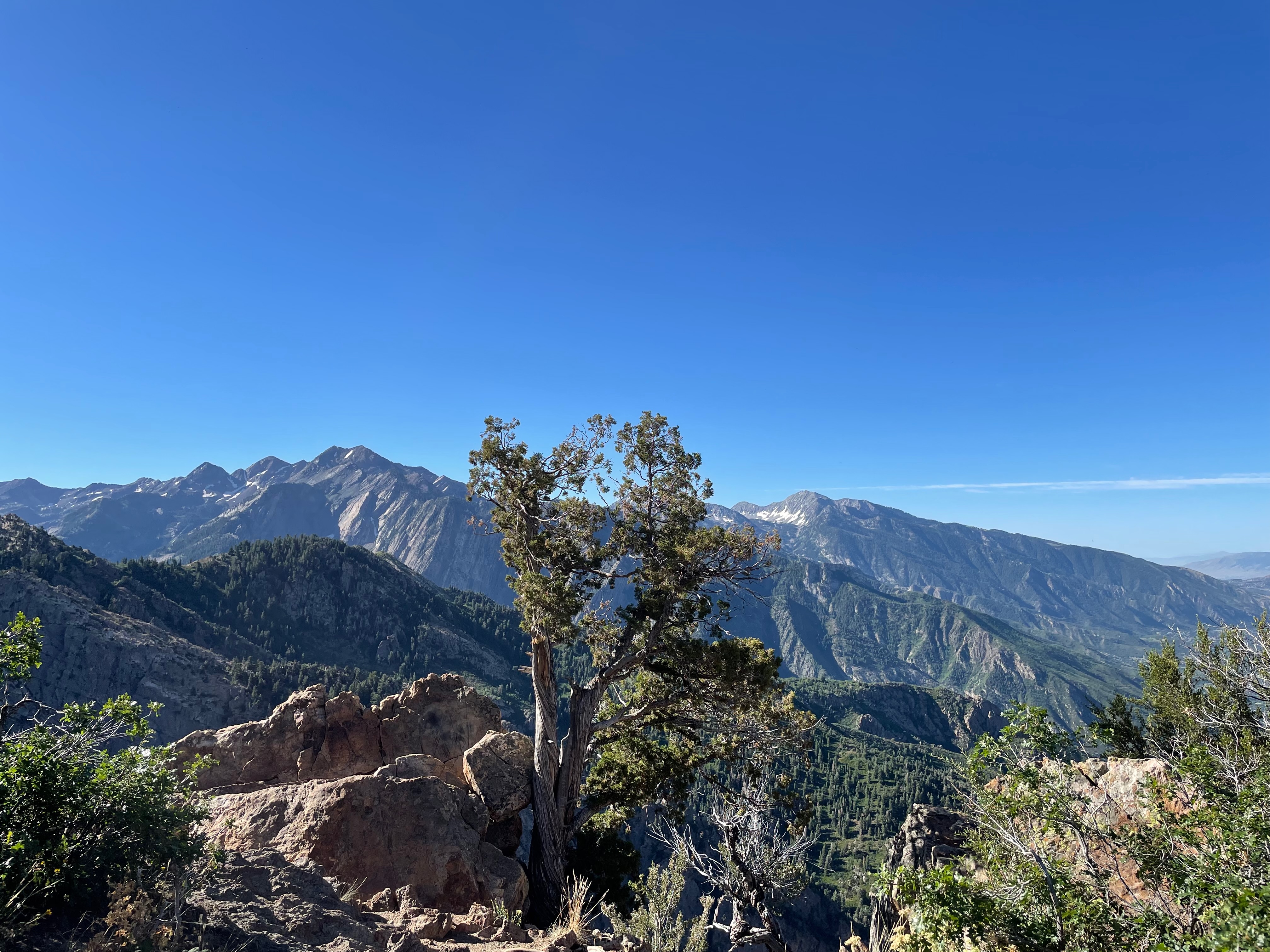 Twin Peak and Lone Peak, as seen from the ascent of Mt Olympus, UT
