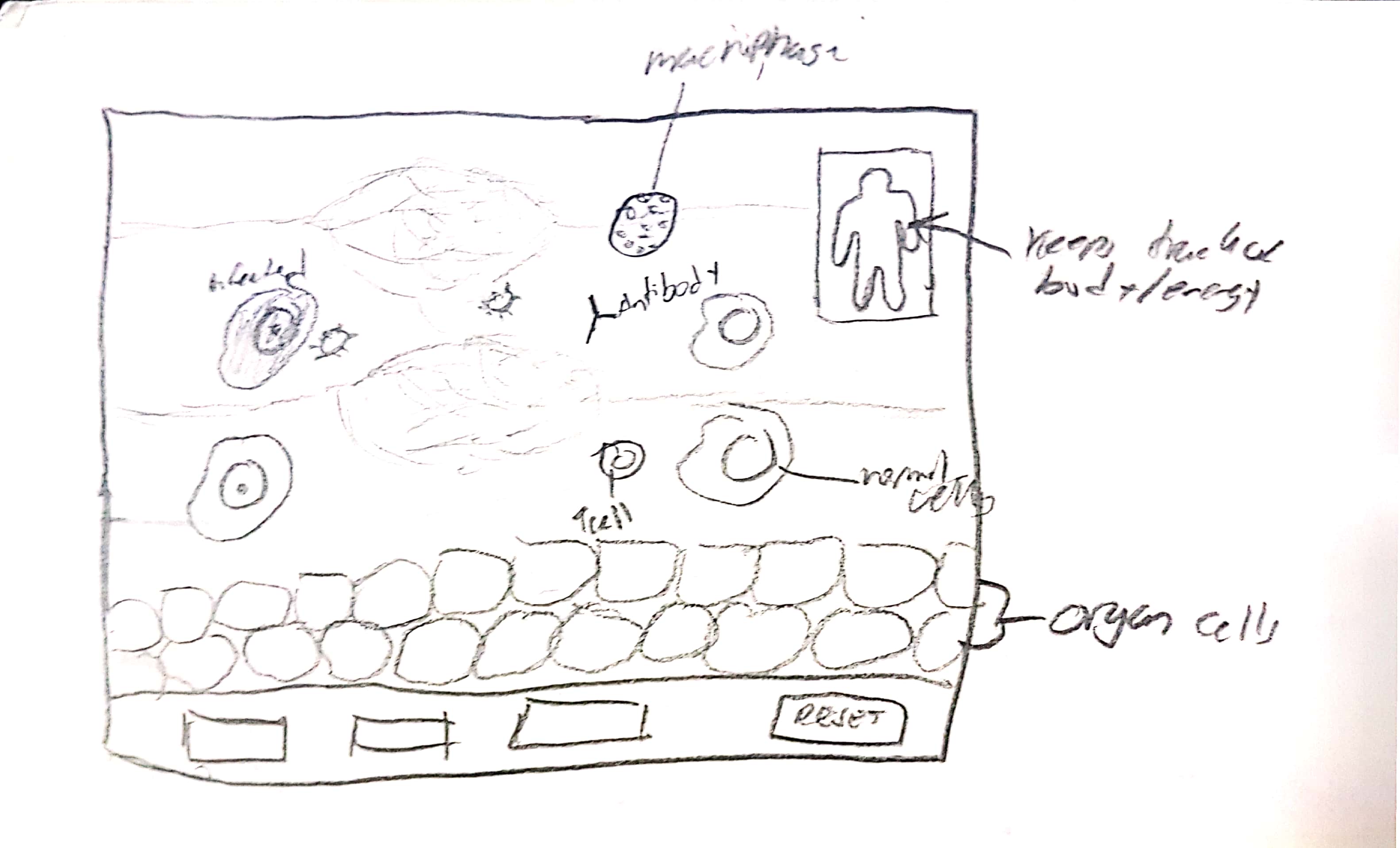 Sketch of program's appearance