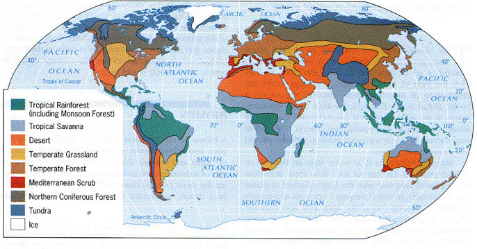 PowerPoint Presentation - Geography 315 Regional ecosystems