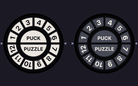 Puck Puzzle Two Layer