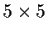 $5\times 5$