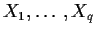 $X_1,\ldots,X_q$