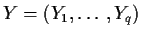 $Y=(Y_1,\ldots,Y_q)$