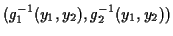 $\displaystyle (g^{-1}_1(y_1,y_2),g^{-1}_2(y_1,y_2))$