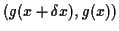 $ (g(x+\delta x),g(x))$