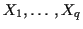 $ X_1,\ldots,X_q$