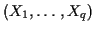 $ (X_1,\ldots,X_q)$