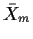 ${\bar X}_m$