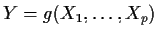 $Y=g(X_1,\ldots,X_p)$