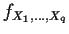 $f_{X_1,\ldots,X_q}$