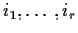$i_1,\ldots,i_r$