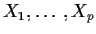 $X_1,\ldots,X_p$