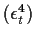 $ (\epsilon_t^4)$