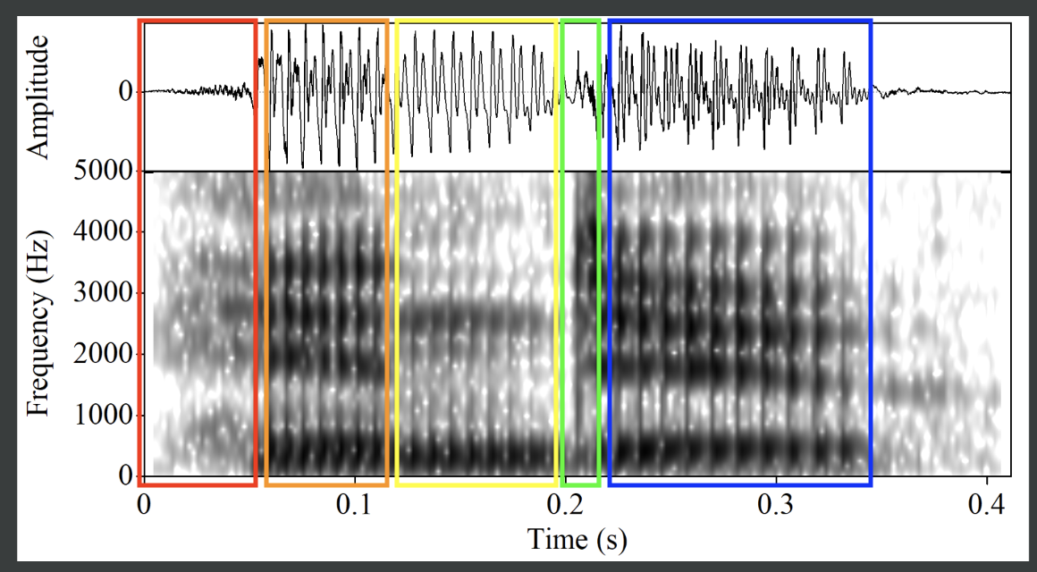 Segmentation