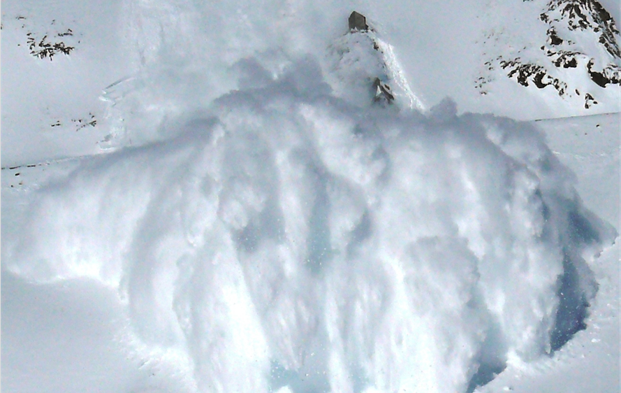 loose snow avalanche type